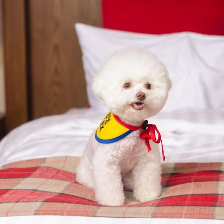 Kensington Resort Seorak Valley Sokcho Ngoại thất bức ảnh