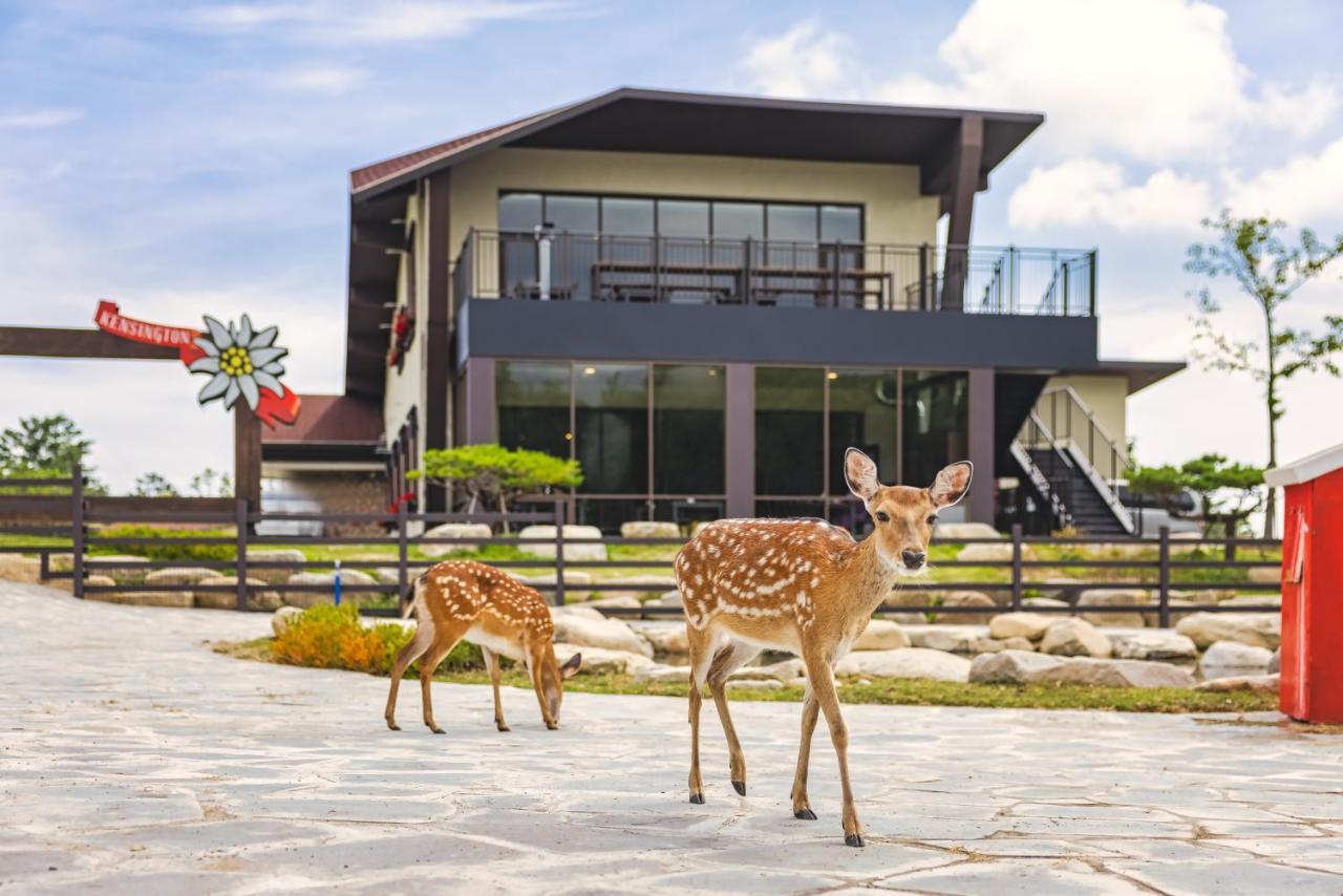 Kensington Resort Seorak Valley Sokcho Ngoại thất bức ảnh