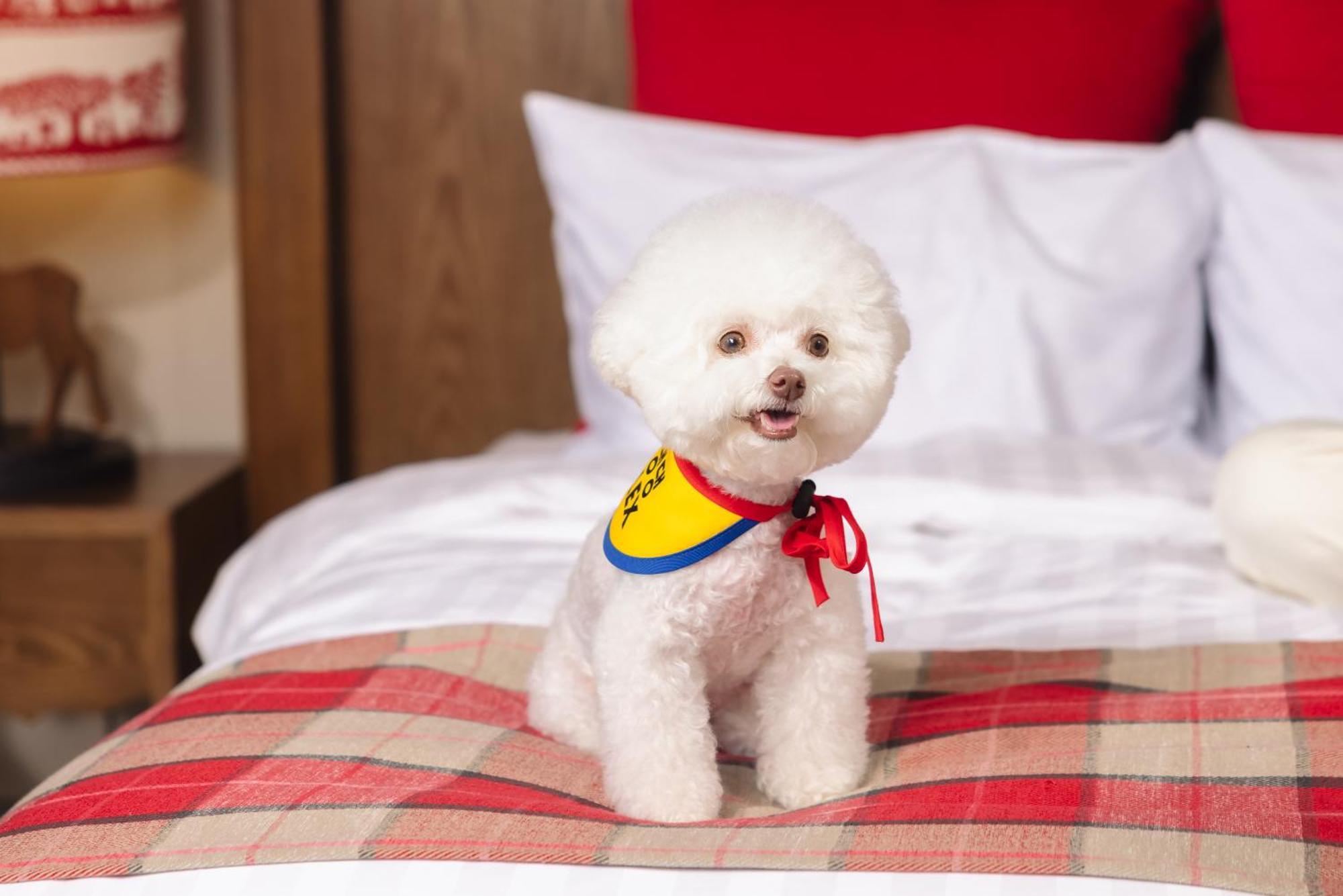 Kensington Resort Seorak Valley Sokcho Ngoại thất bức ảnh